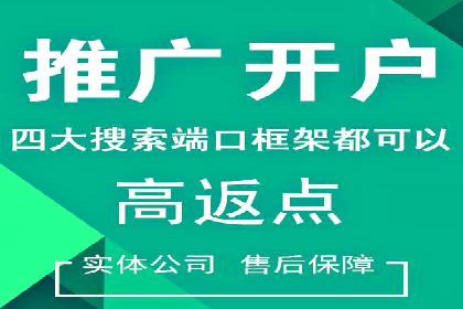 案例研究：关键词推广费用与ROI的关系